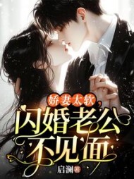 娇妻太软，闪婚老公不见面by启澜阅读