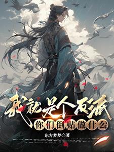 我就是个反派，你们倒贴做什么