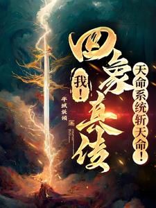 我!四象真传,天命系统斩天命阅读