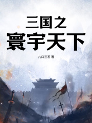三国之寰宇天下(九口三石)阅读