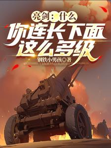 亮剑:什么,你连长下面这么多级精彩