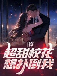 主角是叶洲林浅月的