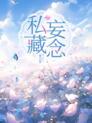 私藏妄念阅读