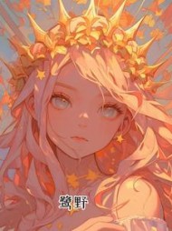 鹭野