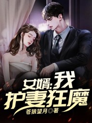 女婿：我，护妻狂魔阅读