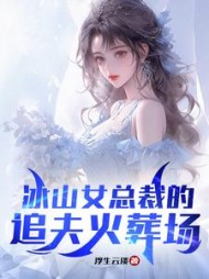 冰山女总裁的追夫火葬场江彻林月嫣