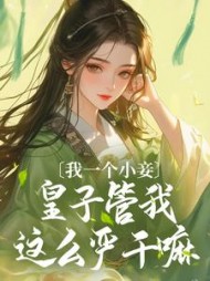 主角是宁雨江辞的
