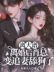 离大谱!离婚后肖总变追妻舔狗了阅读