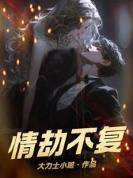 情劫不复阅读