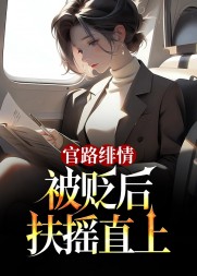 官路绯情:被贬后扶摇直上阅读
