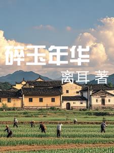 碎玉年华阅读