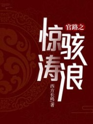 官路之惊涛骇浪苏晨精彩