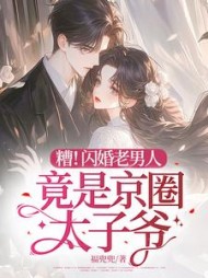 糟!闪婚老男人竟是京圈太子爷完整版
