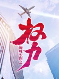 巅峰宏图之权力王文超阅读