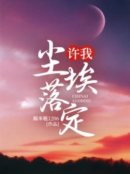许我尘埃落定阅读