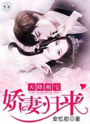 天降萌宝娇妻归来阅读