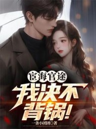 宦海官途：我决不背锅
