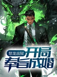怒龙出狱开局奉旨成婚陈平安阅读