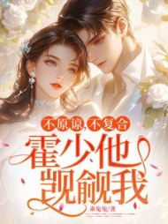 不原谅，不复合，霍少他觊觎我阅读