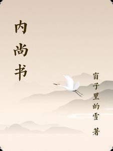 内尚书(窗子里的雪)