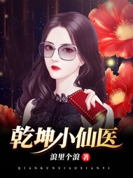 乾坤小仙医陆晨张丝雨阅读