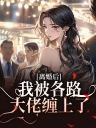 离婚后，我被各路大佬缠上了阅读
