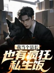 我当个县长也有疯狂私生饭(未见清风)